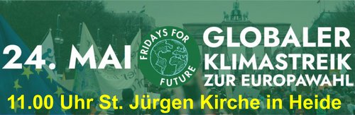 Fridays For Future am 24. Mai in Heide