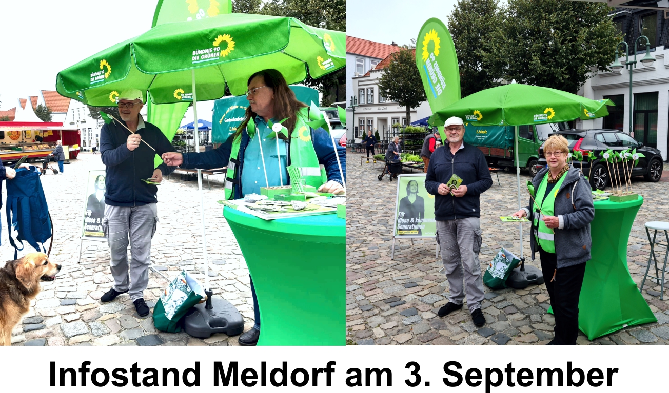 Bilder vom Grünen Infostand in Meldorf