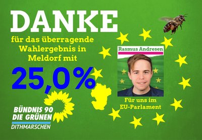 Wahlergebnis EU-Wahl 2029 in Meldorf 25,0%