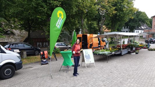 Infostand in Burg mit Ingrid Nestle