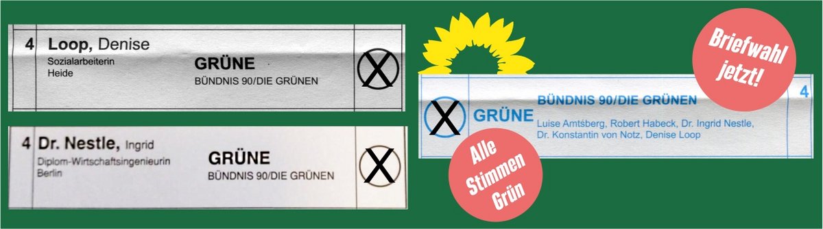 Stimmzettel Wahlkreise 2 und 3 BTW 2021 Zeile der Grünen
