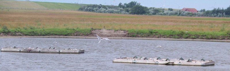 Odinsloch im Speicherkoog