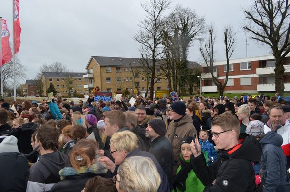 Demo Fridays for Future in Heide